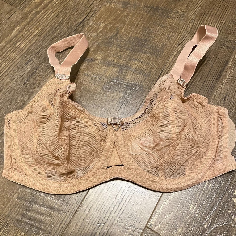 Curvy Katie sheer mesh lingerie bra beige size 38DD